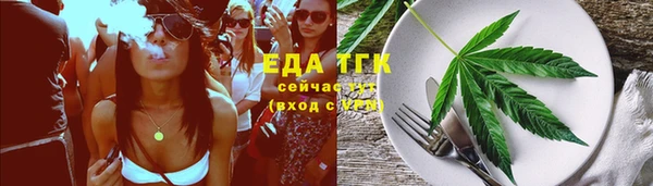 МДПВ Инсар