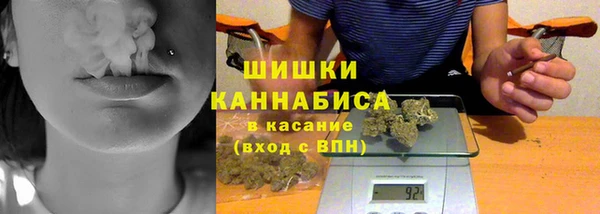 mix Инта