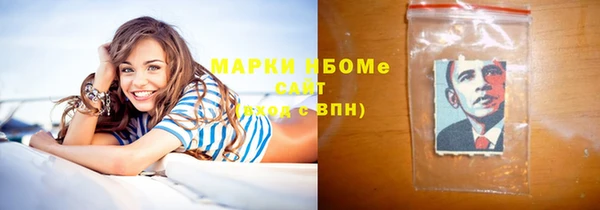 mix Инта