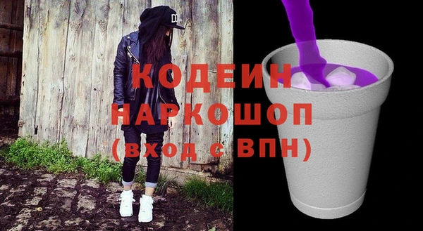 МДПВ Инсар