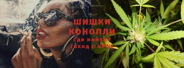 МДПВ Инсар
