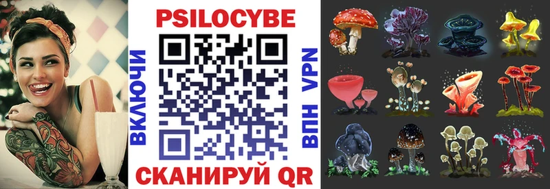 Купить закладки  Сясьстрой  Галлюциногенные грибы Cubensis 